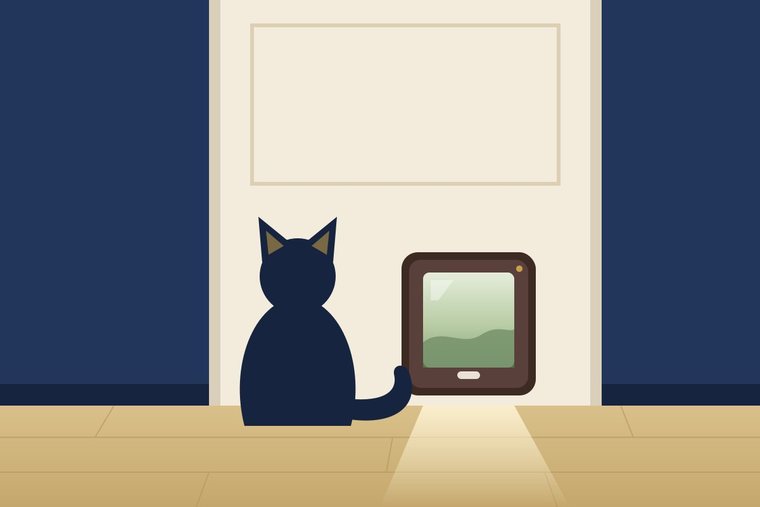 Illustration: Eine Katze sitzt vor einer Tür mit Katzenklappe und schaut in den Garten