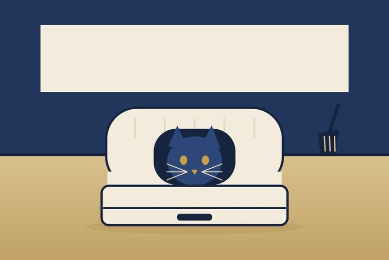Illustration: Eine Katze schaut aus dem Eingang einer Katzentoilette mit Haube